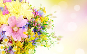 Букет разноцветных летних цветов на розовом фоне