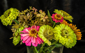 Букет разноцветных цветов цинния в вазе 