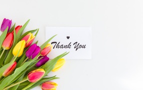 Букет разноцветных тюльпанов и надпись спасибо на белом фоне