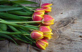 Букет красных тюльпанов с желтыми ободками на деревянном столе