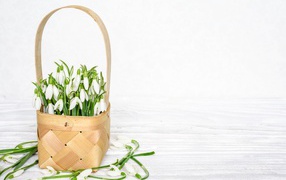 Букет подснежников в корзине на белом столе 