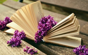 Цветы сирени лежат на книге на лавке 