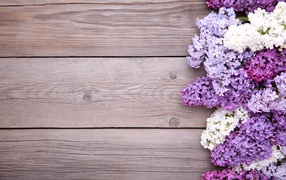 Разноцветные цветы сирени на деревянном фоне