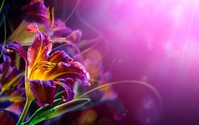 Розовые лилии на размытом фоне 