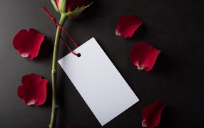 Лист бумаги, роза и лепестки на сером фоне