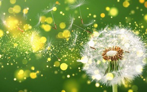 Белый одуванчик разлетается на зеленом фоне