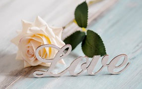 Белая надпись любовь на английском с белой розой