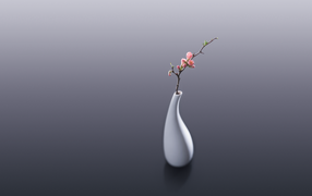 Белая ваза с веткой с розовыми цветами на сером фоне