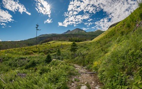 Красивая зеленая природа у гор под голубым небом