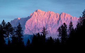 Высокие горы в лучах солнца у хвойного леса 