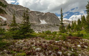 Ели у подножия каменных гор под небом с белыми облаками