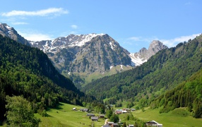 Вид на заснеженные горы и зеленый лес под голубым небом 