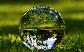 Glass ball with water on green grass