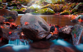 Большие мокрые камни с мхом в реке