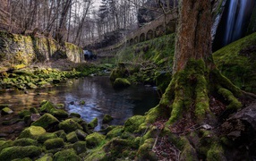 Старый мост у реки в лесу 