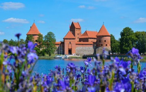 View of the old fortress by the lake with iris flowers