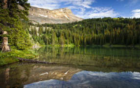 Спокойная чистая вода в озере под голубым небом у хвойного леса 
