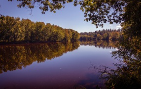 Рассвет над тихой водой реки в лесу 