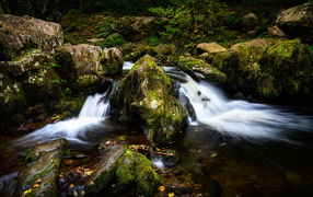 Быстрая холодная вода ручья стекает по покрытым мхом камням