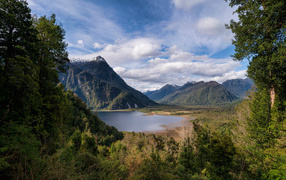 Озеро у гор в зеленых зарослях 