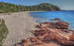 Камни на берегу моря у леса 