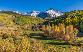 Осенний лес в лучах солнца в горах