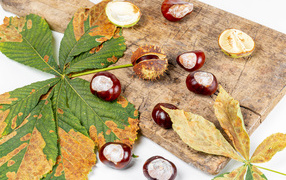 Каштаны с сухими листьями на доске