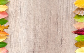 Разноцветные осенние листья на деревянном фоне