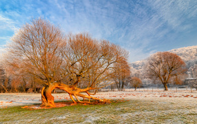Первые заморозки на осенней траве 