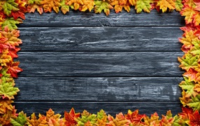 Серый деревянный фон с желтыми осенними листьями