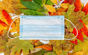 Медицинская маска от коронавируса лежит на осенних листьях 