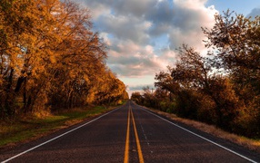 Ровная асфальтовая дорога с деревьями