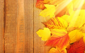 Желтые опавшие листьями на деревянном столе 