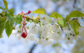 Украшение на ветке цветущей вишни крупным планом