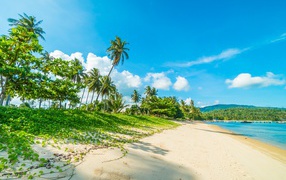 Красивый тропический пляж с теплым песком под голубым небом летом