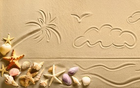Drawings in the sand with shells and starfish in the summer