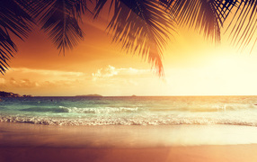Закат солнца на тропическом пляже летом