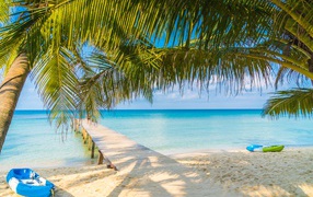 White sand on a beach with palm trees by the ocean with blue water in summer