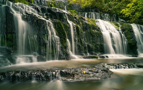 Водопад в лесу стекает по покрытым мхом камням 