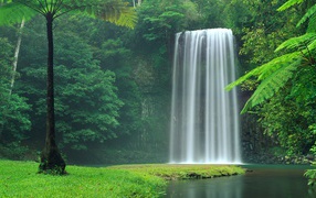 Водопад Миллаа Миллаа  в зеленых зарослях, Австралия