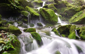 The rapid water of a waterfall flows down large moss-covered stones.