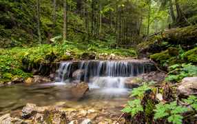 The waterfall flows down over the overgrown stones in the forest