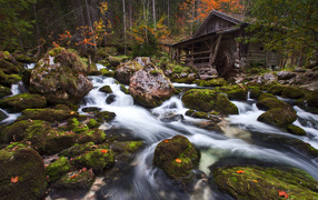 Water flows down stones in a forest near an old house