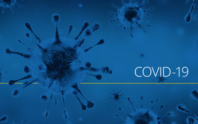 Pandemic coronavirus covid-19, 2020