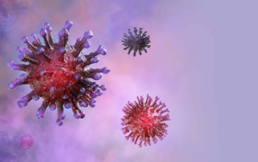 Viruses of coronavirus covid-19 on a purple background
