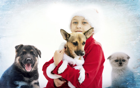 Голубоглазая девочка с собаками и котенком