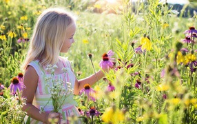 Маленькая девочка гуляет на поле с цветами эхинацеи 