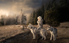 Маленькая девочка с собаками хаски в лесу