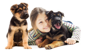 Улыбающаяся девочка с двумя щенками овчарки