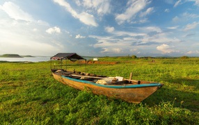 Большая деревянная лодка на зеленой траве